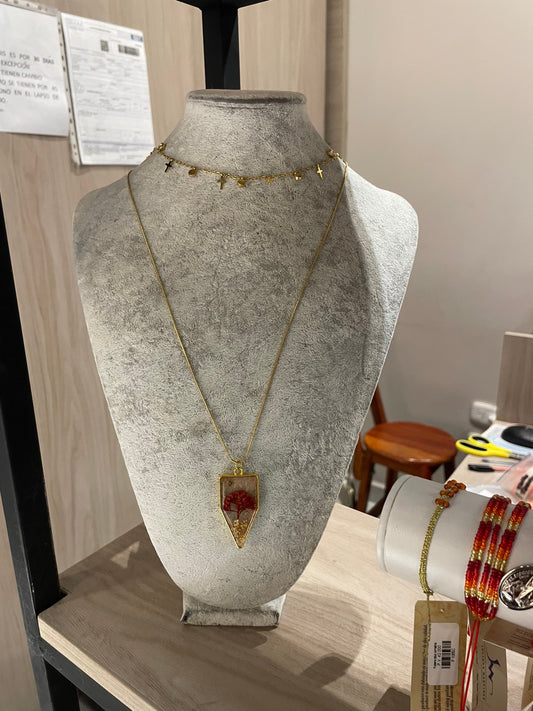 ¡Marie Pazos ahora en Menta Store!